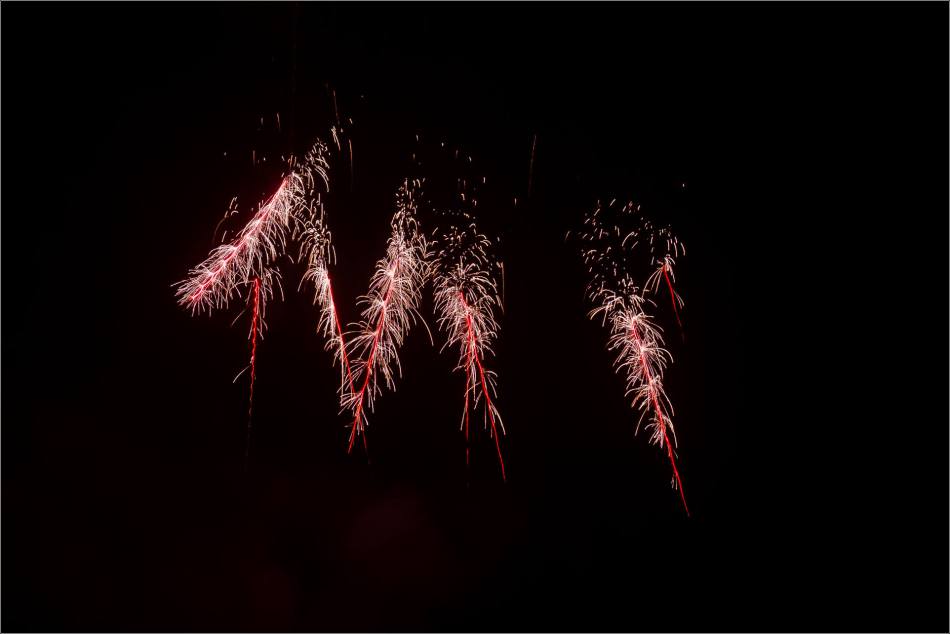 redwood-new-years-fireworks-christopher-martin-0055